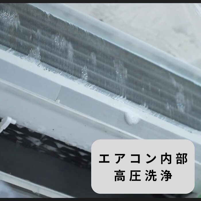 画像339